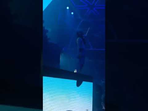 Steve Aoki LIVE @ Hakkasan Nightclub Las Vegas Oct. 21, 2021