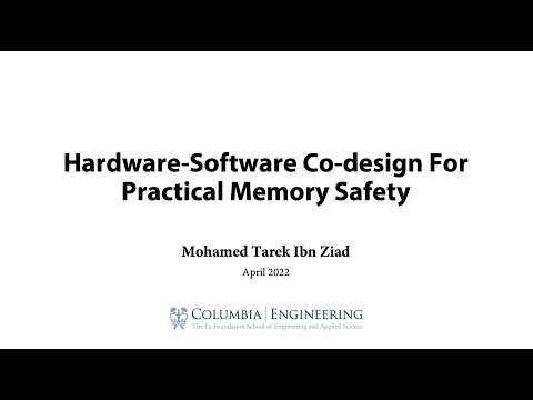 Hardware-Software Co-design for Practical Memory Safety