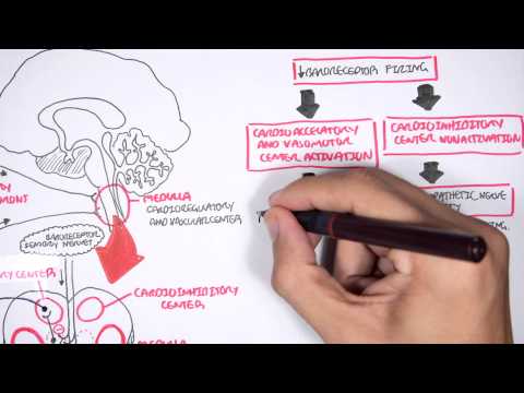 Cancer Introduction I