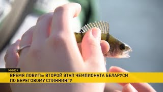 Взять удочку на прокат лафет в минске