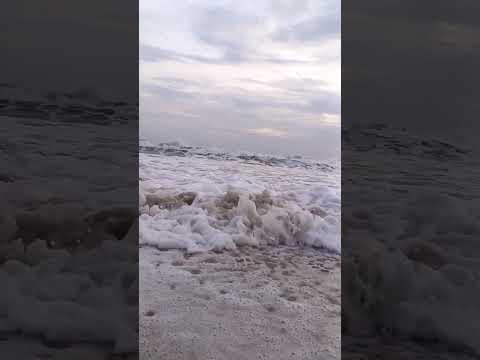 Thaikadappuram beach at Nileshwaram in Kasaragod #shorts #shortsvideo