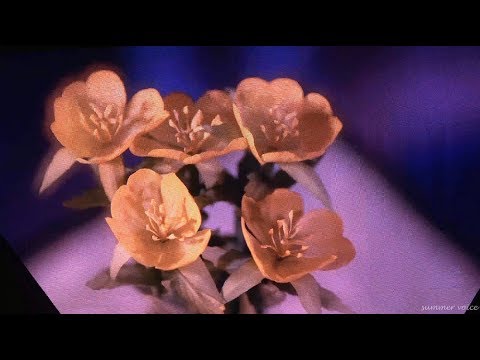 NU’EST W CONCERT ＜DOUBLE YOU＞IN SEOUL VCR