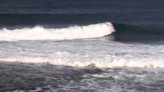 preview picture of video 'Surf /bodysurf las palmas de gran canaria'