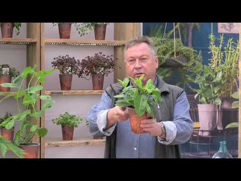 virtuelle Hausmesse 2022-1