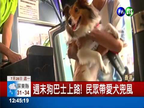 寵物公車上路 民眾帶愛犬玩耍