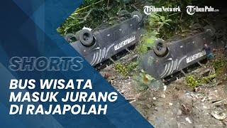 Terjadi Kecelakaan Bus Wisata dari Sumedang Masuk Jurang di Rajapolah, Berisi Rombongan Sekolah