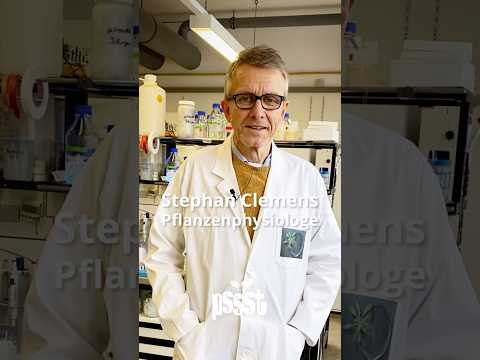 #Professor für #Pflanzenphysiologie stellt sich vor - featuring Stephan Clemens über #Arsen im #Reis
