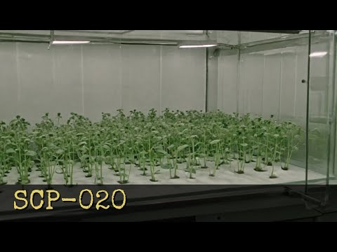 SCP-020 Fungal Organism