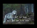 Josh Wilson - Things That I'm Afraid Of - Lyric Video by InBeautifulChaos