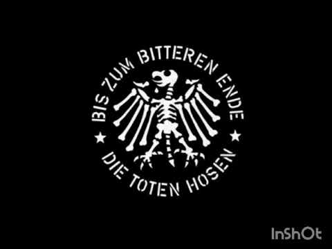 Die Toten Hosen (Brickfield night)
