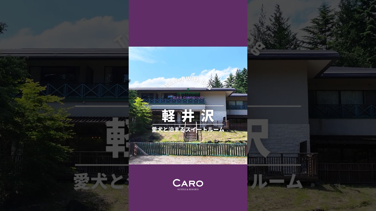 【公式】愛犬と泊まる軽井沢のスイートルーム🐶/軽井沢GIARDINO #長野 #軽井沢 #犬