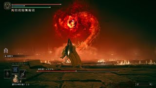 メスメル戦