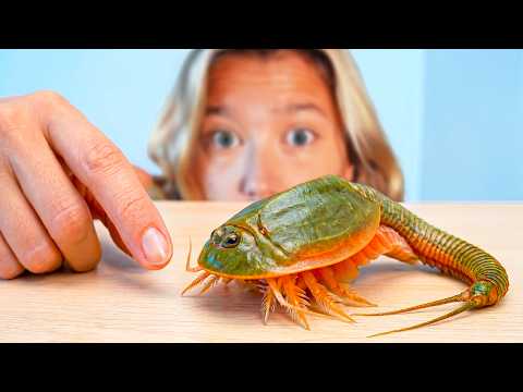 I Hatched Pet Dinosaurs (300 Million Years Old)