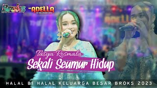 Download lagu SEKALI SEUMUR HIDUP - TASYA ROSMALA OM ADELLA (COVER LIVE PERFORM) THE BROKS 2023 mp3 Download lagu SEKALI SEUMUR HIDUP - TASYA ROSMALA OM ADELLA (COVER LIVE PERFORM) THE BROKS 2023 mp3