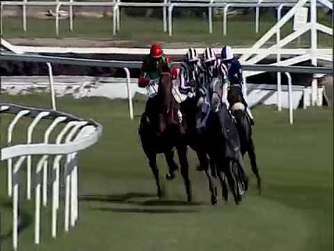 2016.09.25 Premio Vittorio Riva (ITA) - Biz Power