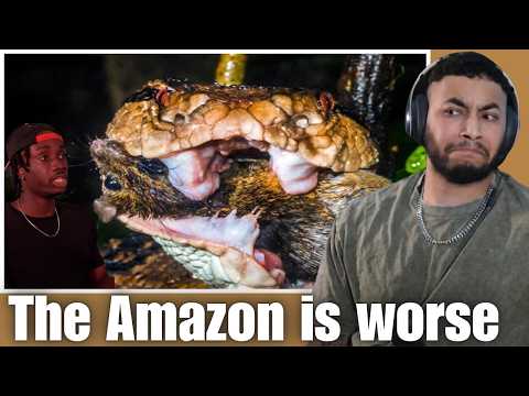 OtakuCouple Reacts: Why the Amazon Makes Australia Look Like a Joke (Casual Geographic)