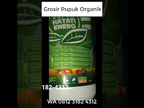 WA. 0812-3182-4312 Jual pupuk alami untuk anggrek agar cepat berbunga Enrekang #agenpupukorganikcair