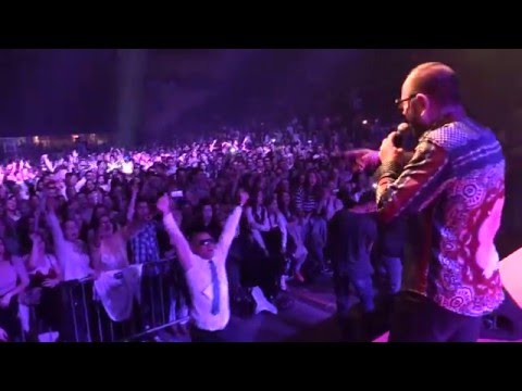 Mile Kitic - Sampanjac - (Oskar popularnosti 2016)