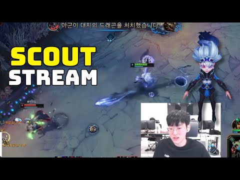 NS Scout Stream use EDG Zoe Dominate KR Challenger