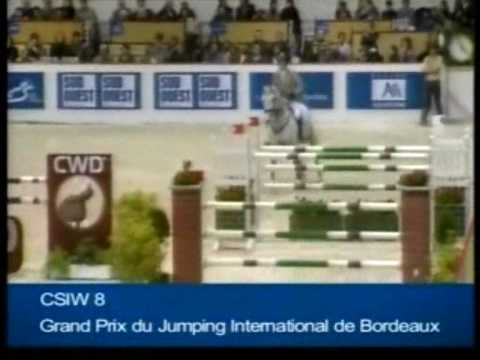 COUPE DE COEUR: Ludger Beerbaum's stallion by www.equine-evolution.com