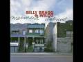 Way Over Yonder In The Minor Key - Billy Bragg & Wilco