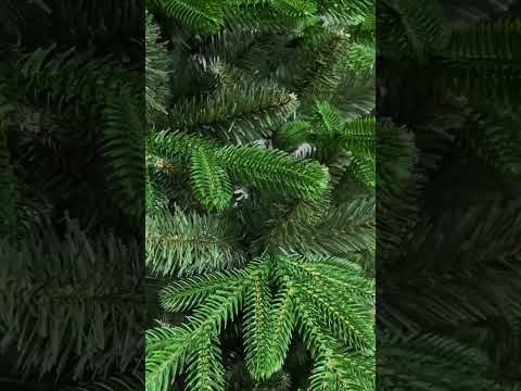 Ель искусственная Каспийская