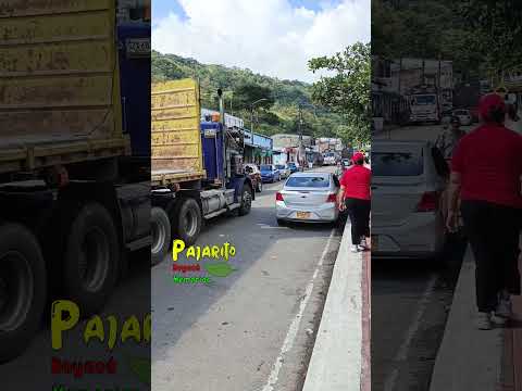 Pajarito - Boyacá (1:45 p.m.)  (vía Sogamoso - Pajarito Boyacá) 06/12/2025