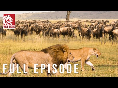 TANZANIA | Survival Challenges in the Land of Predators (FULL EPISODE) Nature animal documentary