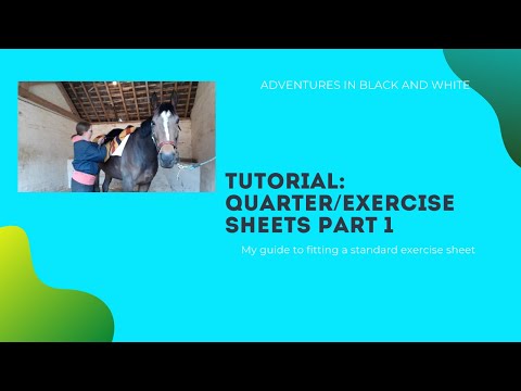 YouTube video about: How to make a quarter sheet for horses?