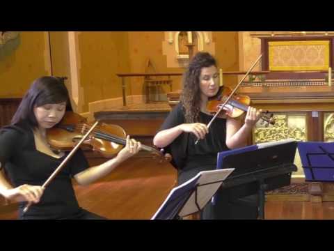 Blue Moon (Rodgers) by Amicus Strings