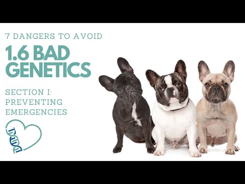 1.6 BAD GENETICS (Dangers to Avoid #6 of 7)