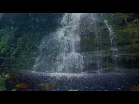 Të jesh pronari i Xhennetit | MADHËSHTORE