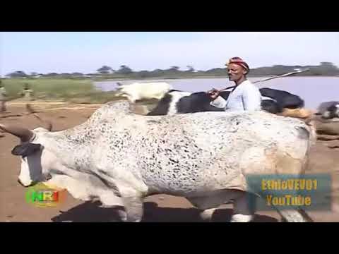 molla  | setarge |embuale berew | ethiopian music