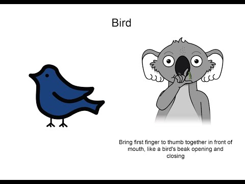 The Avenue Park Communication Board Key Word Sign tutorial - Bird