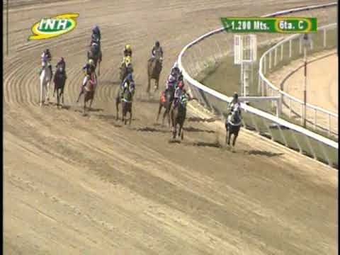 2nd, Valid | Thank Walking | La Rinconada International Racecourse | Meeting 05 | 2023