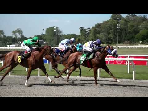 230108 c04 BALINA FULL