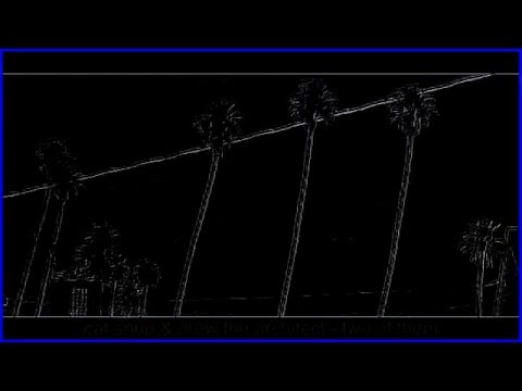 cat soup & drew the architect - two of them [visual]