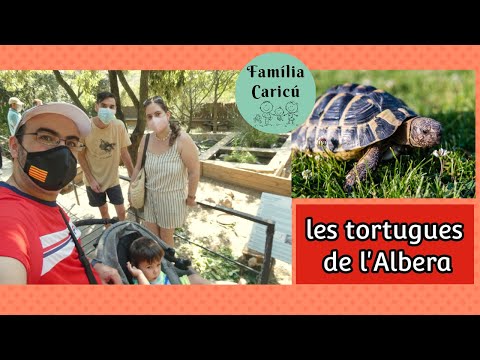 VISITEM EL CENTRE DE REPRODUCCIÓ DE TORTUGUES DE L'ALBERA | FAMÍLIA CARICÚ