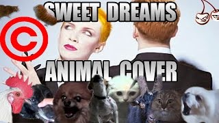 Eurythmics - Sweet Dreams (Animal Cover) [REUPLOAD]