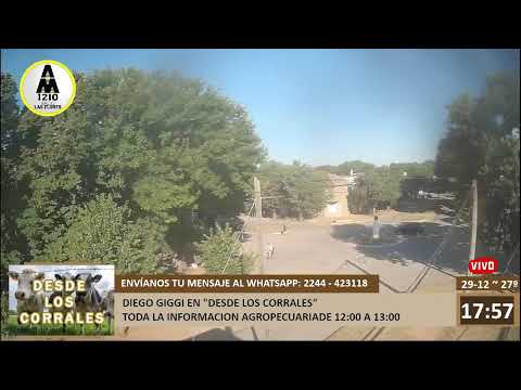 Radio  Las Flores - AM 1210 - FM Cóndor 89.7 - EN VIVO -