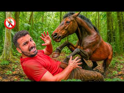 Escaping from Deadliest Jungle !