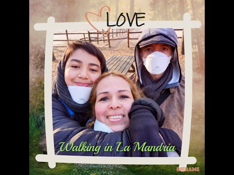 ITALIA: VENARIA REALE - Parco Naturale 'La Mandria' (Gennaio 2022)