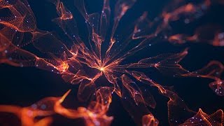 Download lagu After Effects Tutorial - Particle Swirls (Trapcode Particular) mp3 Download lagu After Effects Tutorial - Particle Swirls (Trapcode Particular) mp3