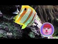 Tiny Fuppets Summer Splash