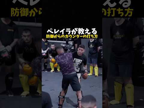 ペレイラが教える防御からのカウンターの打ち方 #格闘技 #ufc #ボクシング