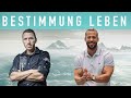 Dieses MINDSET brauchst du um deine BESTIMMUNG zu leben | mit Calvin Hollywood