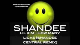 Lil Kim - How Many Licks (Shandee Central Mix)