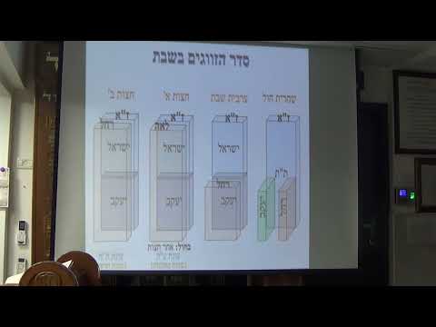 שבת 23 זיווג זו''ן ומצוות עונה