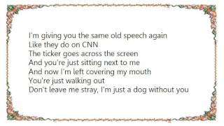 Good Charlotte - Stray Dogs Lyrics