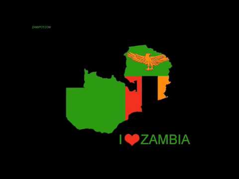 slap D - talema navo